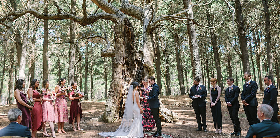 Bel Nation Marriage Celebrant Kuitpo Forest
