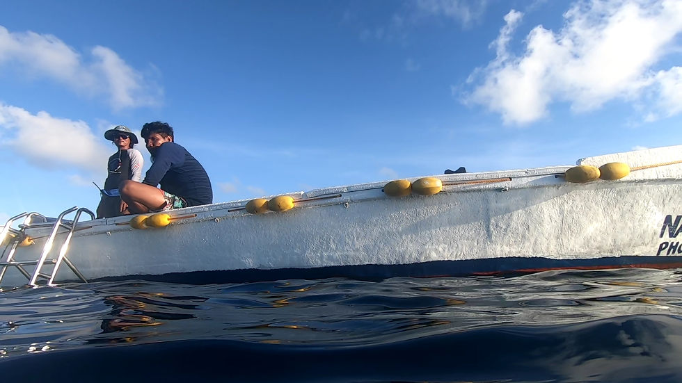 Miniaturbild: NARAYANA APO REEF
