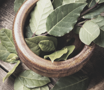 laurus nobilis plant leaves in a bowl