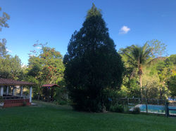 IMG_8329.jpeg