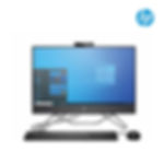 AIO HP Pro 205 G8 (9F1K4PT#AKL)
