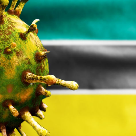 90% DOS RESIDENTES DA MANHIÇA JÁ ESTIVERAM EXPOSTOS AO SARS-CoV-2 