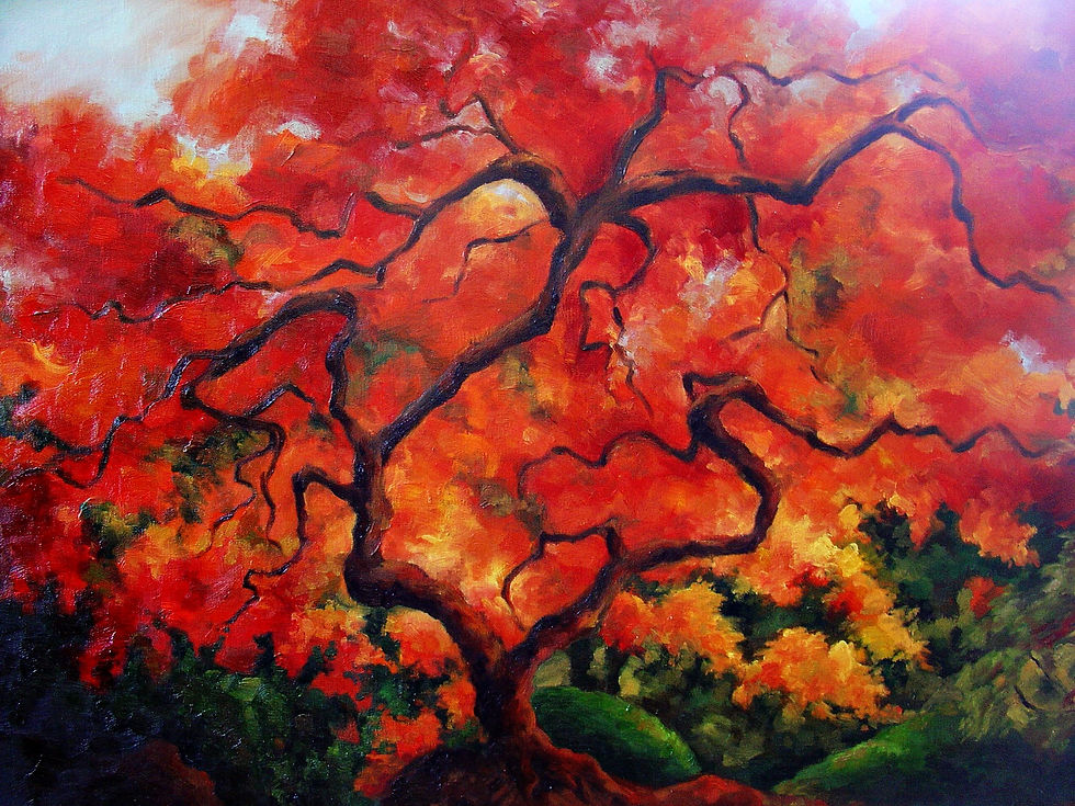 Red Japanese Maple