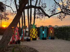 Hyatt Regency Mission Bay Spa & Marina