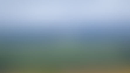 Meet the Teams: Team Echo Vision