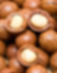 Property 1=Macadamia nuts.png
