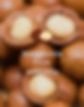 Property 1=Hover Macadamia.png