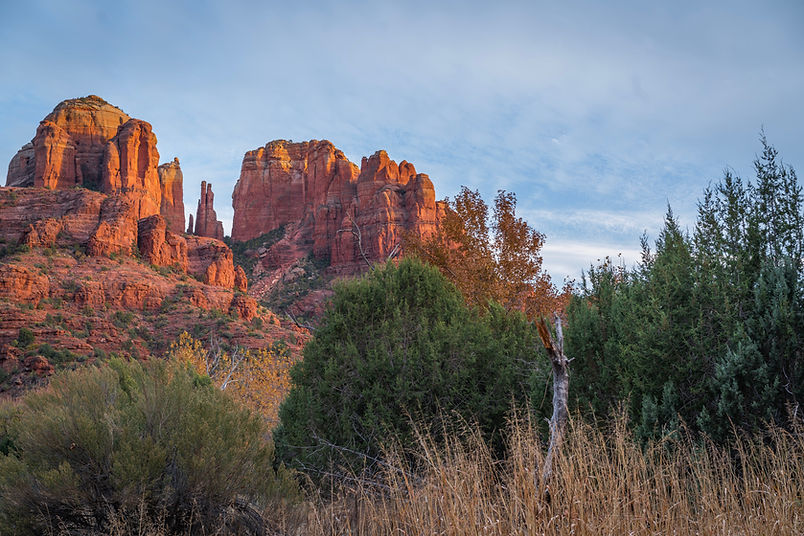pexels-john-webb-6058890Photo by Nate Ho