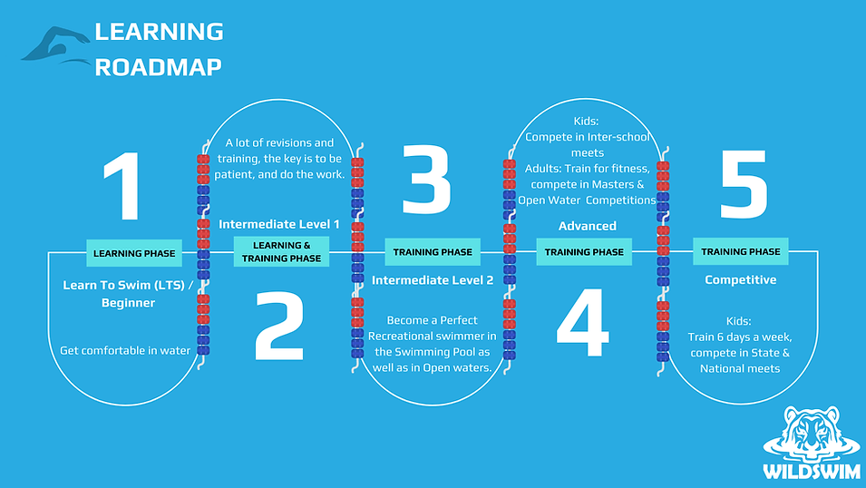 Wild Swim Club_Learning Roadmap.png