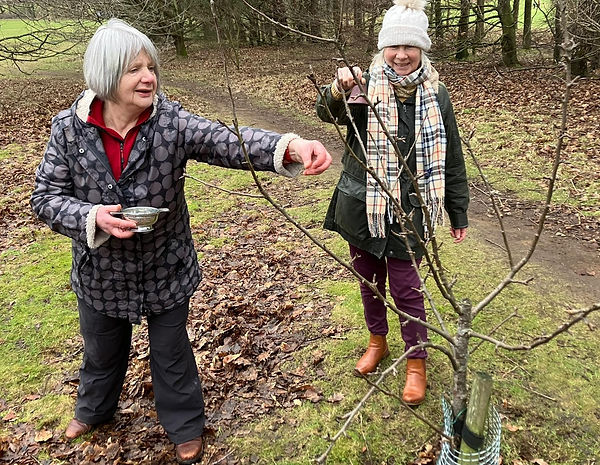 2026-01-29 apple tree wassailing.jpg