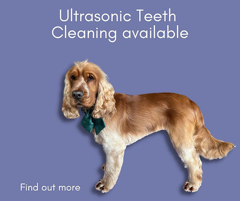 ultrasonic-teeth-cleaning.jpg