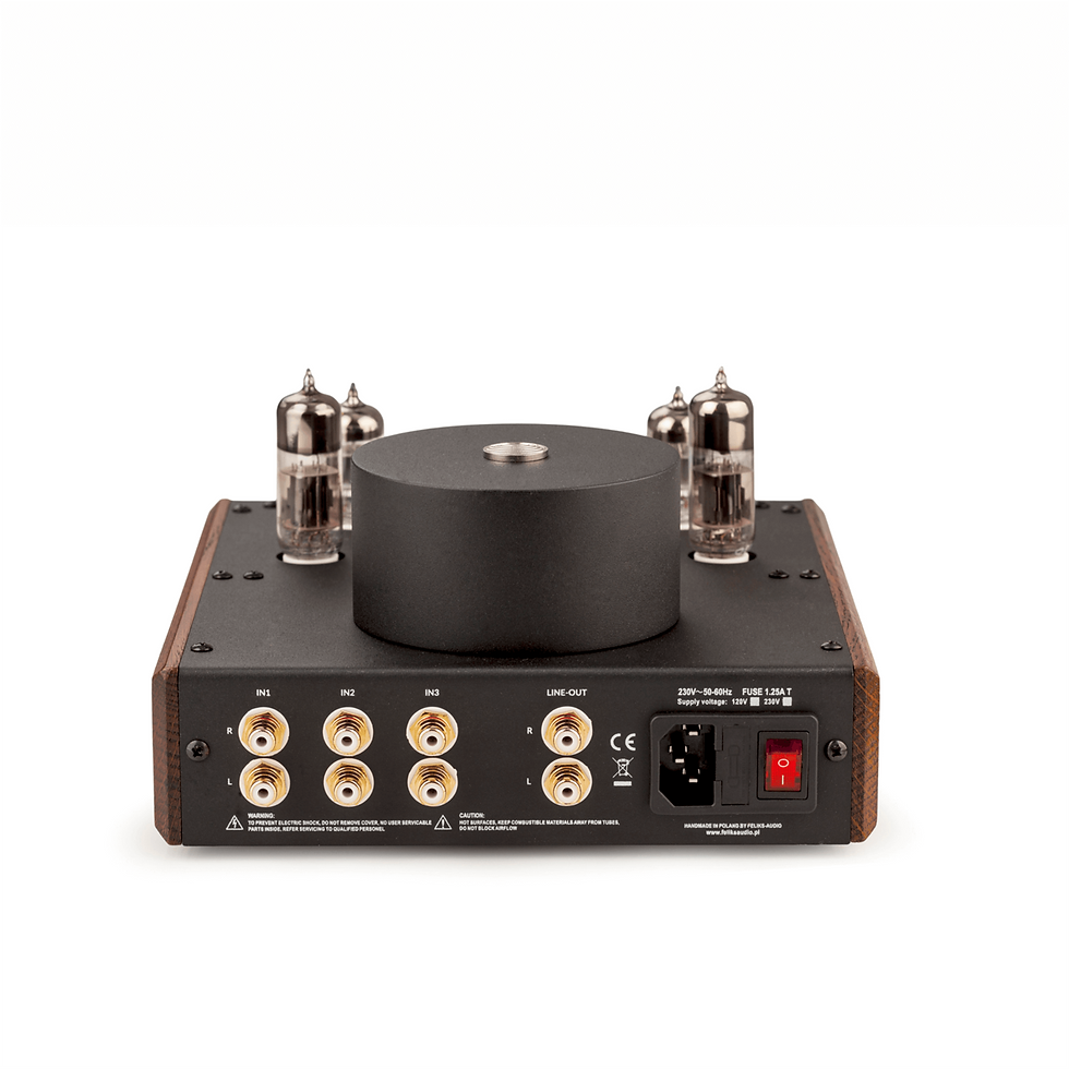 Thumbnail: Feliks Audio Echo 2