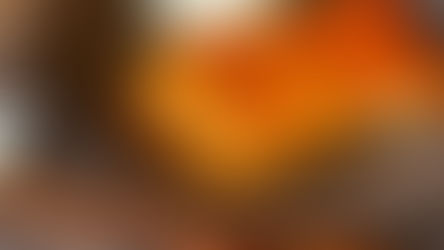 Miso Marmalade Salmon (Oven-Baked!)