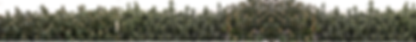 PLantworks Farm header (2).png