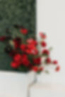 AlainaYardPhotography-71.jpg