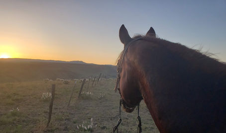 New Year Greetings 2022. . . '21 Year of Perpetual Thanksgiving