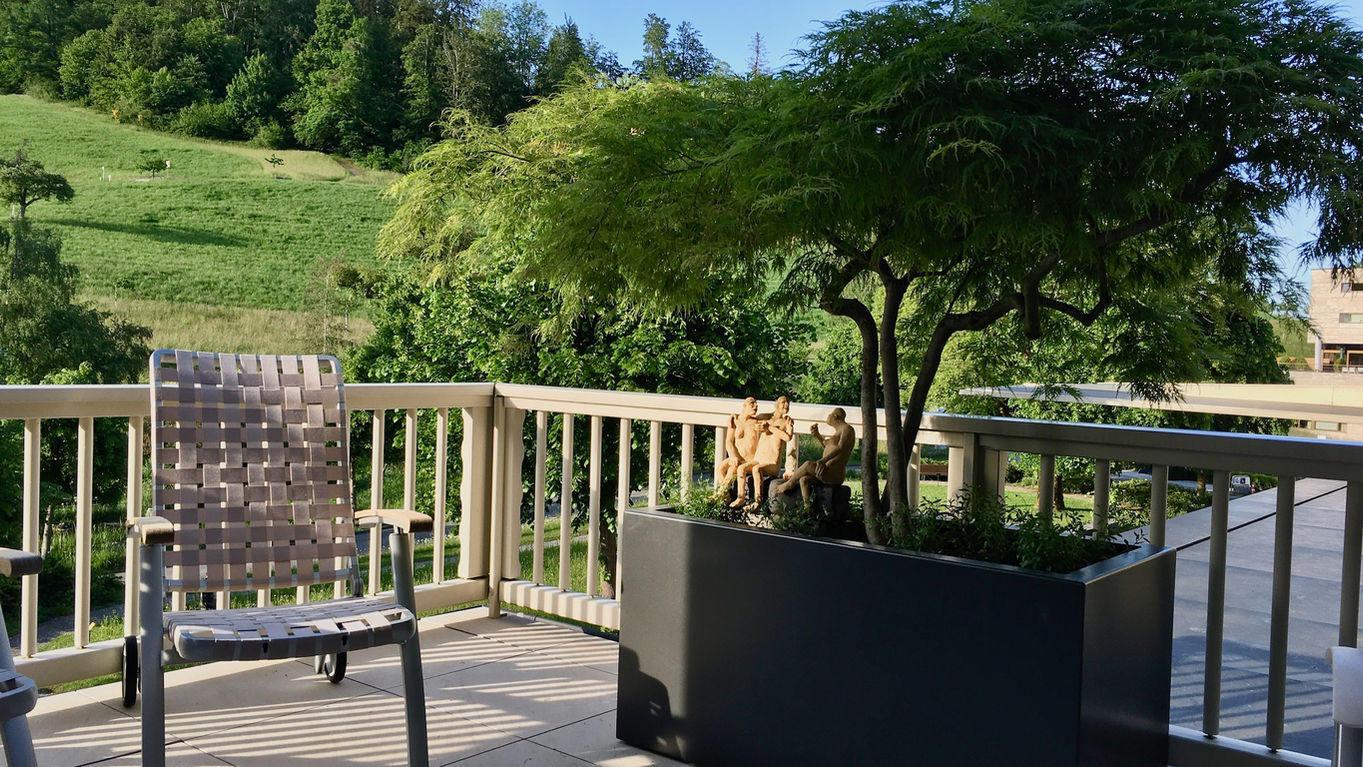 16_terrasse_japanischer_ahorn.jpeg