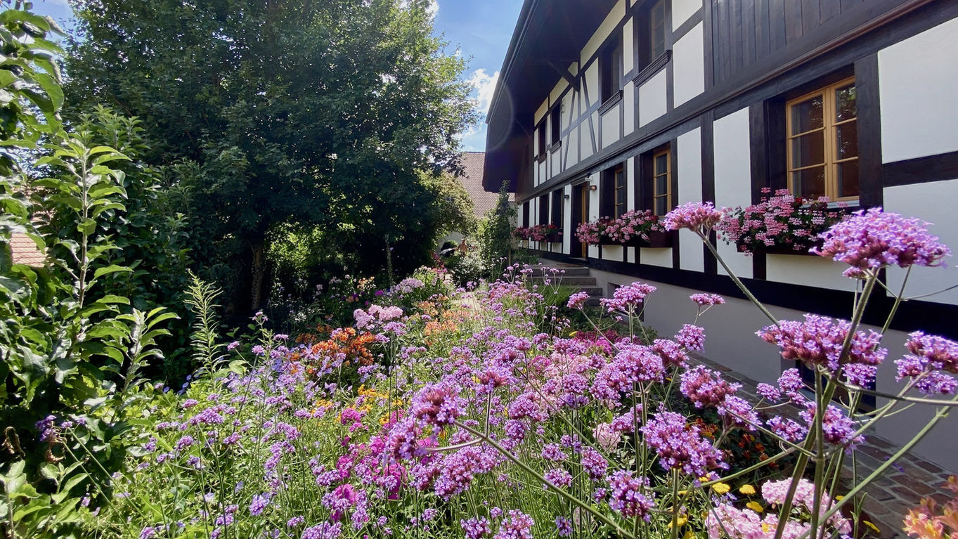 bauerngarten.jpeg