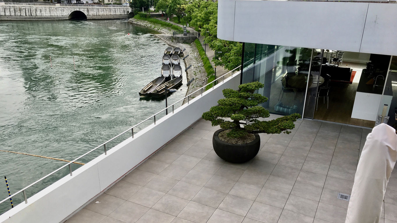 5_terrasse_bonsai.jpeg