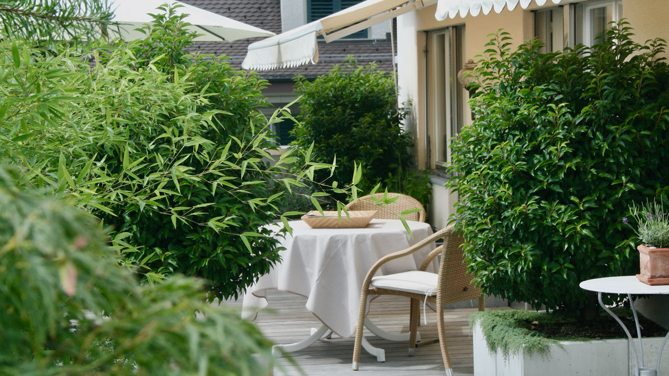 1_terrasse_bepflanzung.jpeg