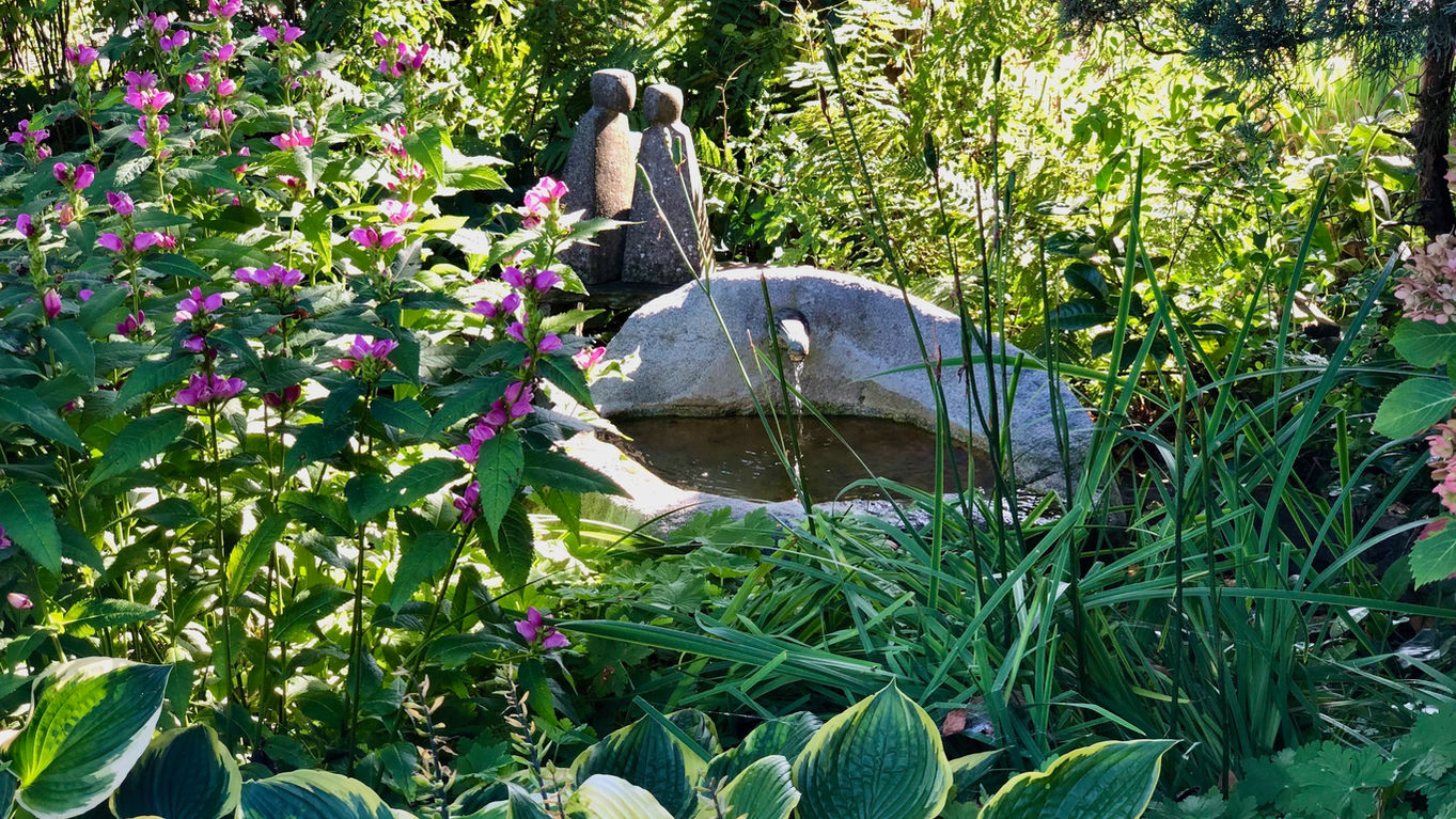 10_brunnen_pflanzen.jpeg
