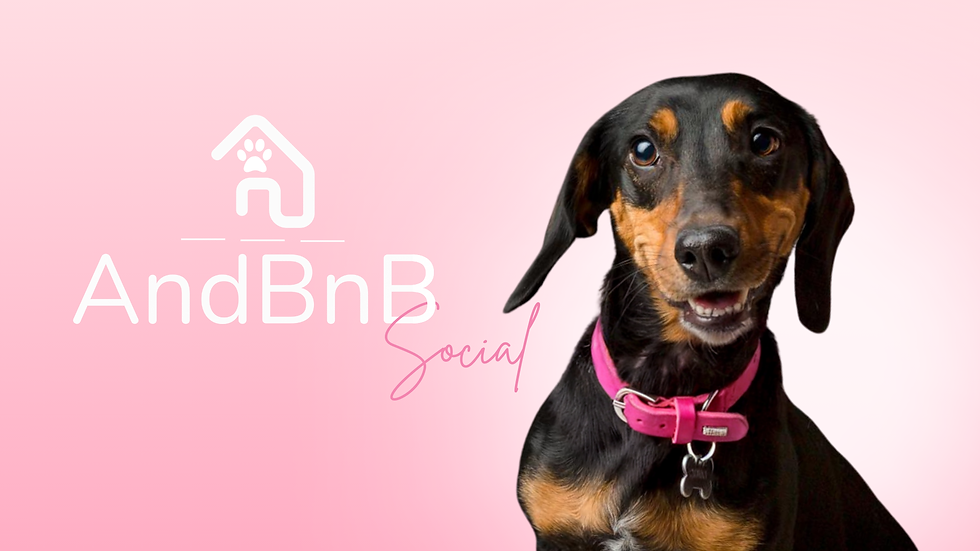 Conoce a Skinny la mascota oficial de AndBnB