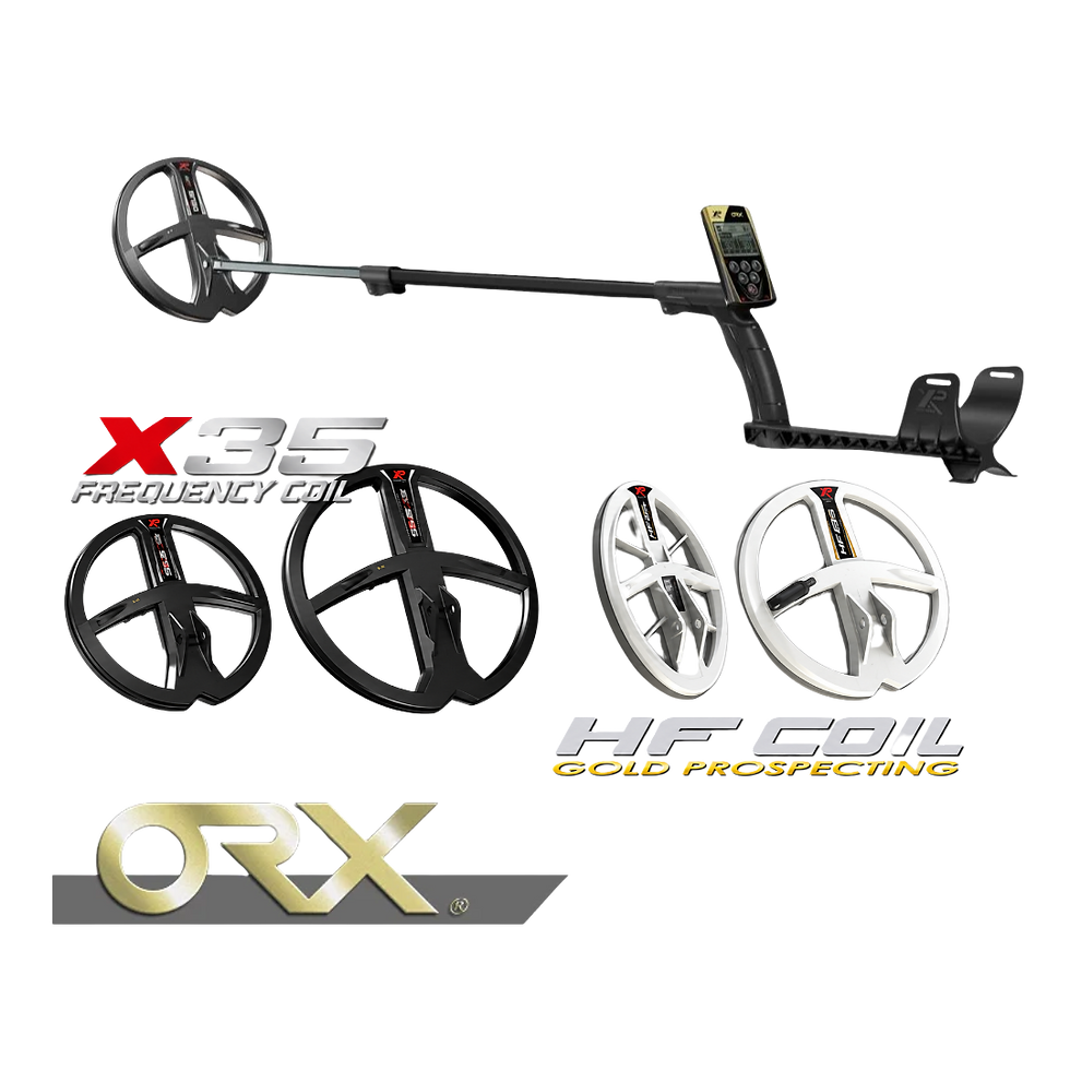 XP ORX wireless metal detector with X35 and HF search coil options