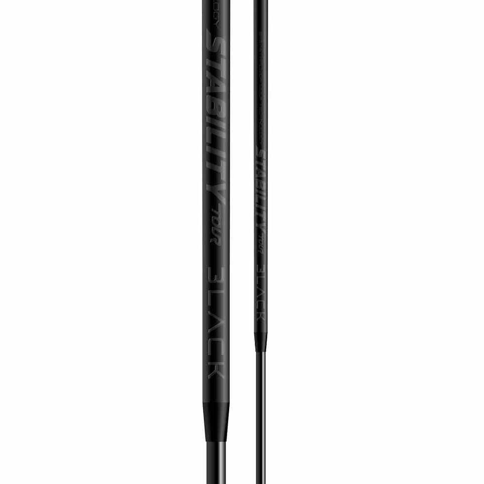 BGT STABILITY TOUR BLACKOUT PUTTER SHAFT alternate view