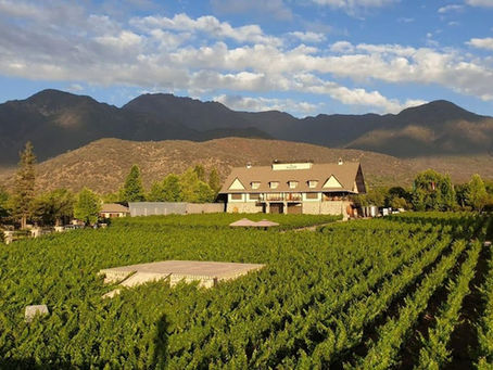 In the Vines: Santiago's World-Class Wine Valleys