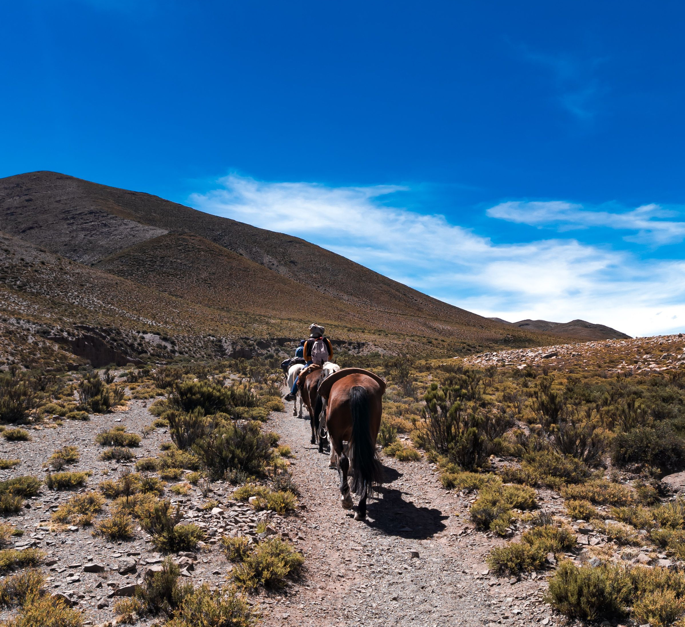 First-time horseback rider smiling on horse in Chilean Andes, guide beside them