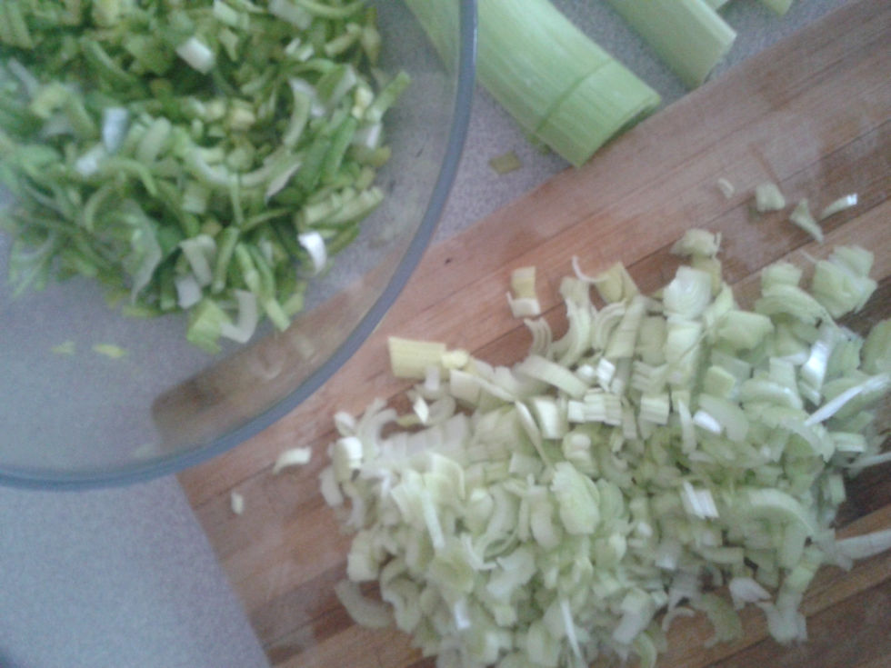 20150306_150835.jpg