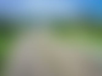 Complete Guide to Traveling in Gabon for First-Time Visitors