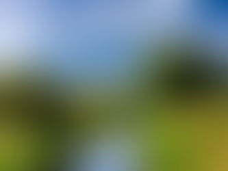 Best UK Destinations for Nature and Wildlife Lovers