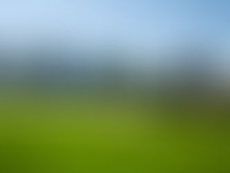 Hidden Parks and Green Spaces in Doha You Didn’t Know About