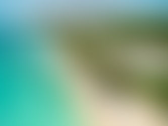 Explore Barbados: Top Experiences for Every Traveler