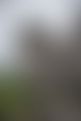 📍 Masungi Georeserve