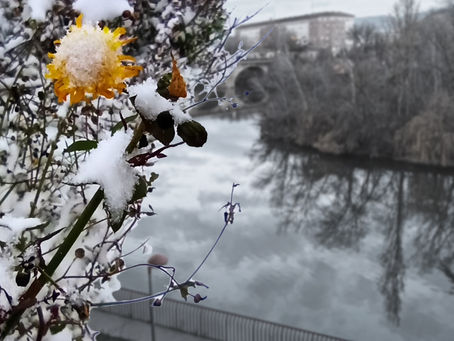 Refuerza tu mente: 15-17-19 de Marzo