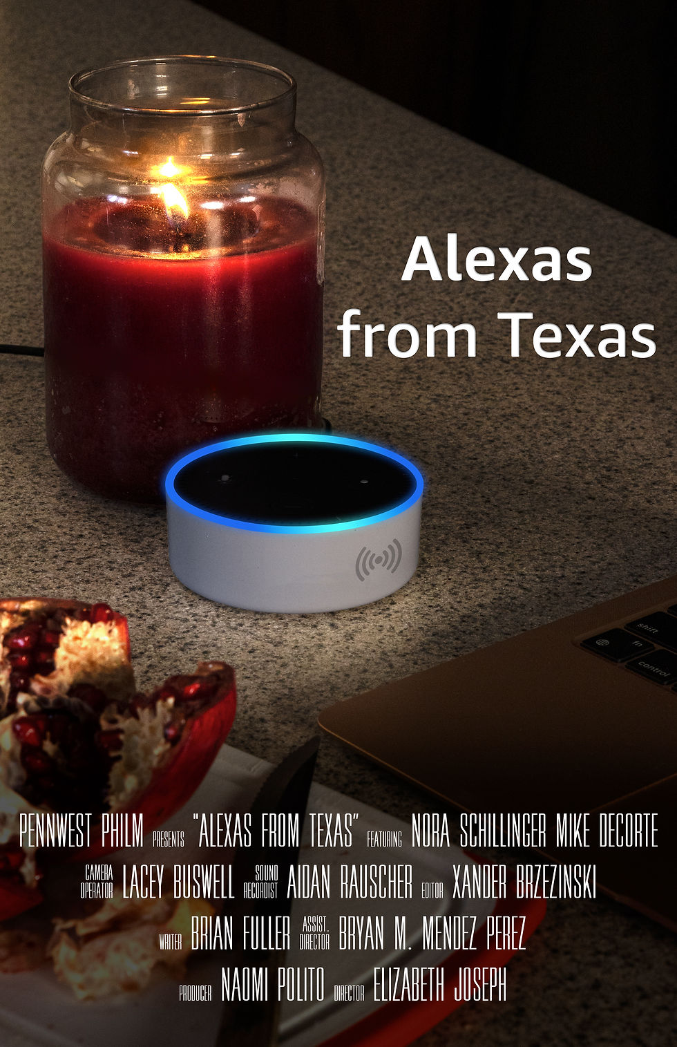 "Alexas from Texas" is a psychological thriller set in a Texas suburb, where an ostensibly friendly detective visits a woman's home with questions that soon reveal a disturbing secret. Technology and privacy become key elements in a tense game of power and manipulation as their conversation intensifies.