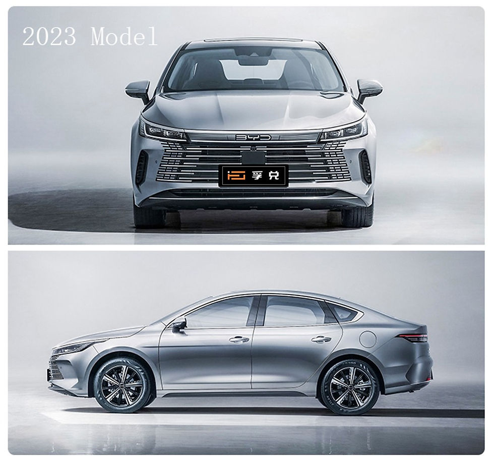 بي واي ديستروير التي سجلت مبيعات ضخمة في الثلث الاخير من العام وصلت الى اكثر من 6,700 سيارة من خلال تجار المنطقة الحرة