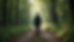 Eye-level view of a person standing at a crossroads with multiple paths leading into a forest