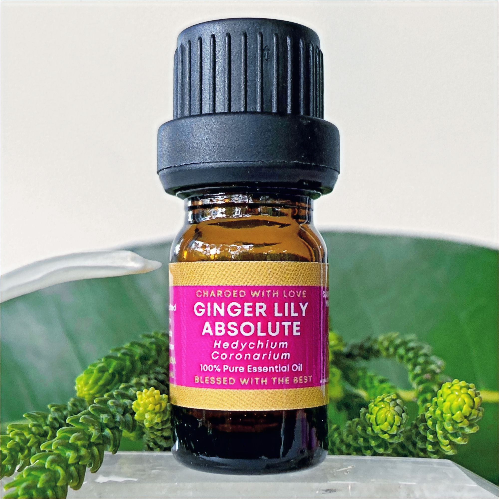 GINGER LILY ABSOLUTE - Premium Essential Oil - 5ML
