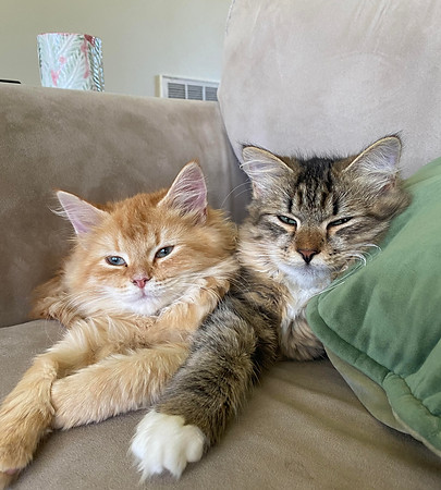 cuddles.jpg
