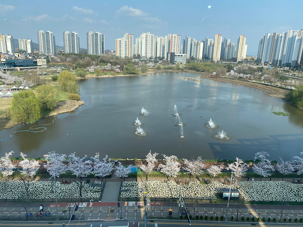 The view from Chouchou Bonbon, overlooking Baedari Ecological Park, April, 2024.