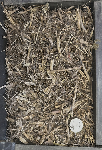 Mulch-min_edited.jpg