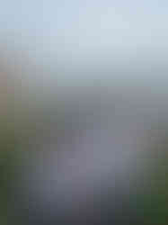 My friends