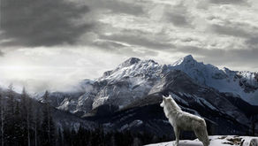 Being a Lone Wolf isn't that bad.
