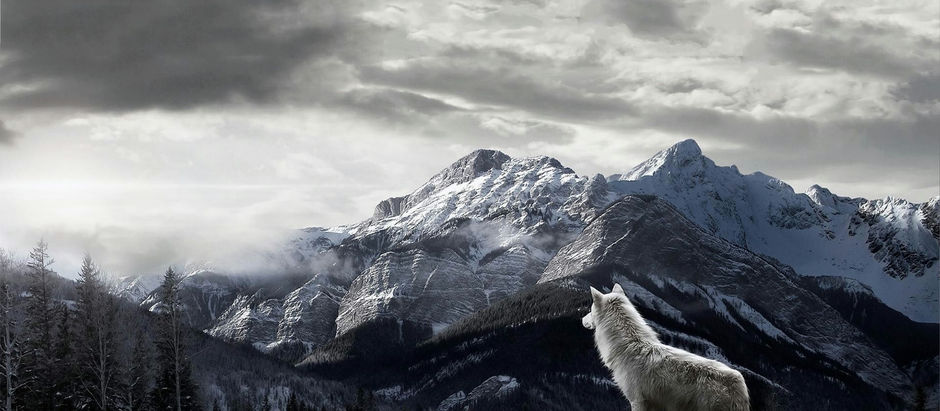 Being a Lone Wolf isn't that bad.