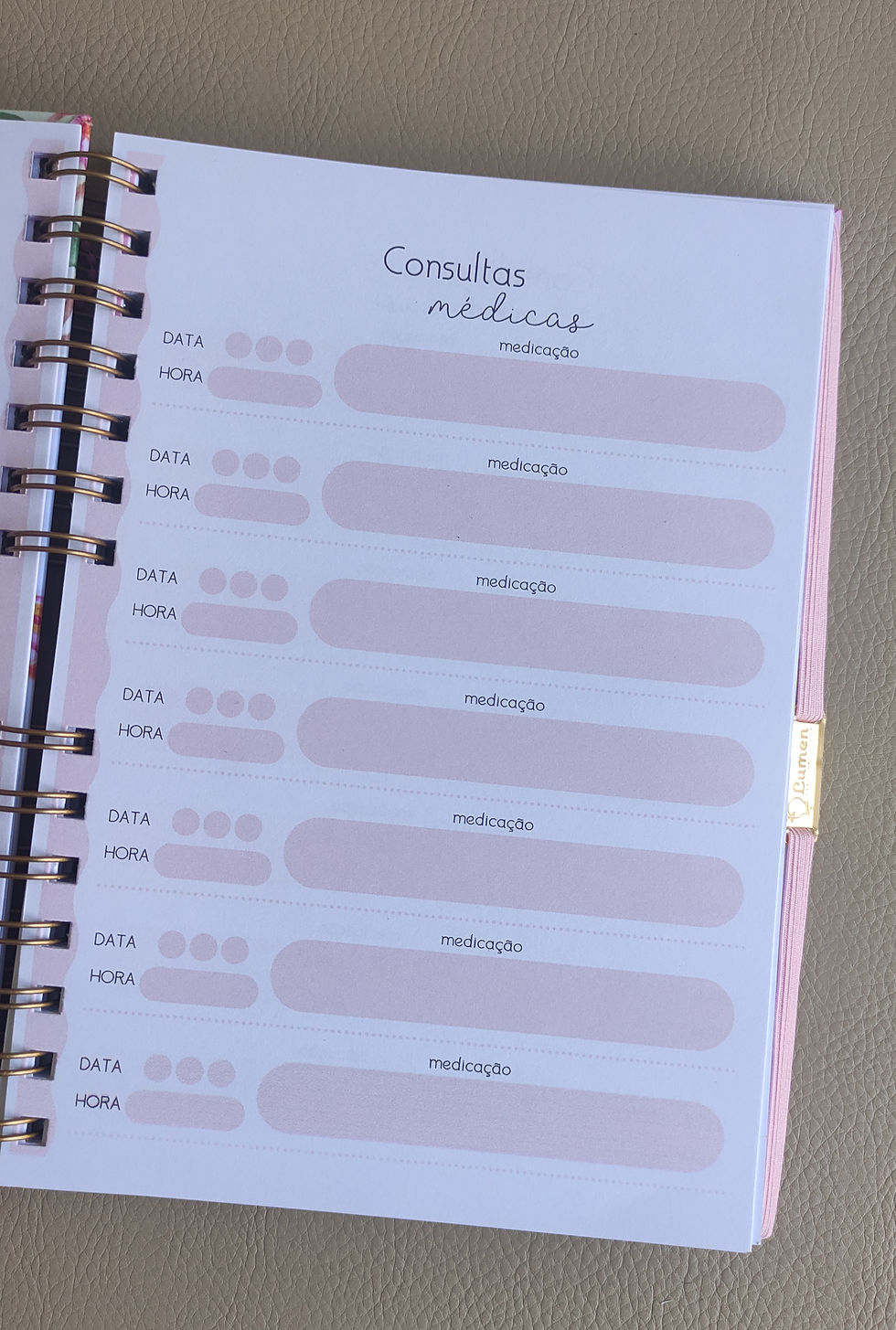 Miniatura: Caderneta de Saúde Alice