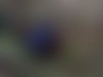 Acidente é registrado na BR-277 nesta quarta feira