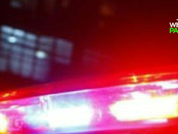 Polícia Militar registra ocorrência por perturbação de sossego em Palmeira